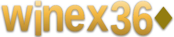 winex360 logo